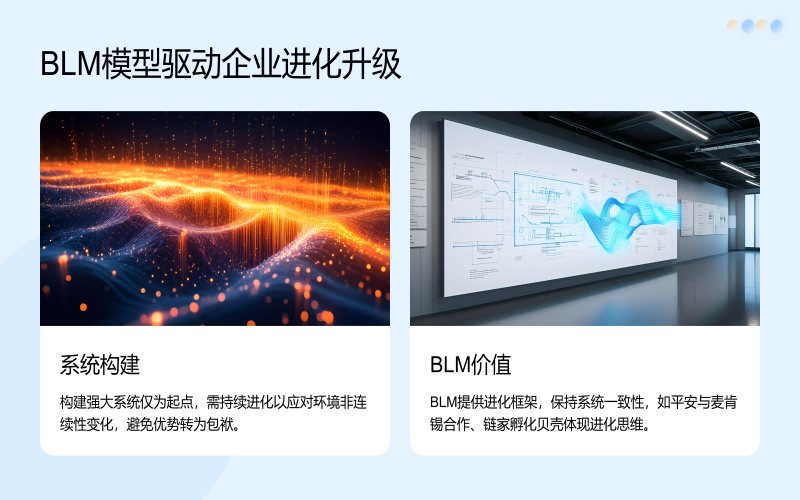 BLM模型