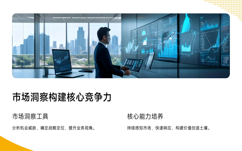 市场洞察