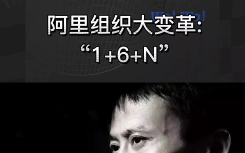 阿里组织变革1+6+n 阿里组织变革1+6+n