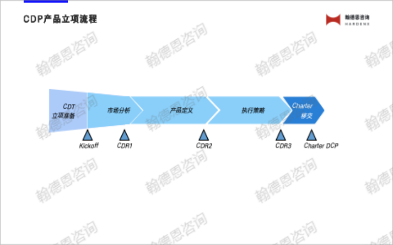 CDP立项流程
