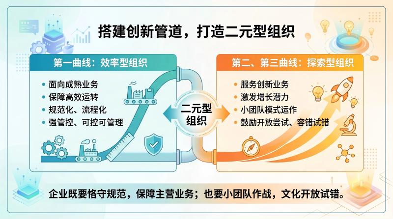 二元型组织