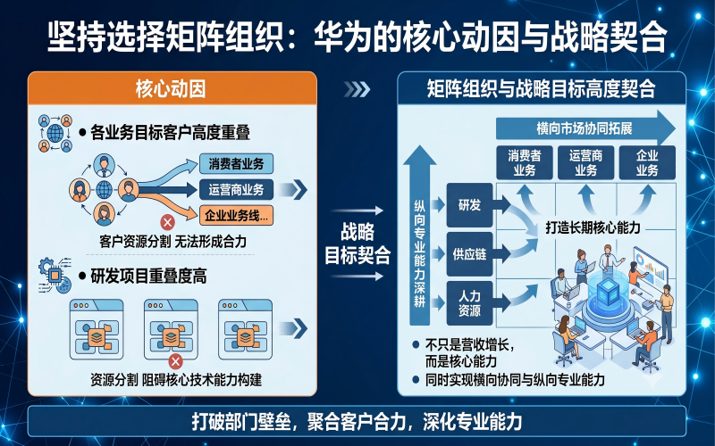 矩阵组织